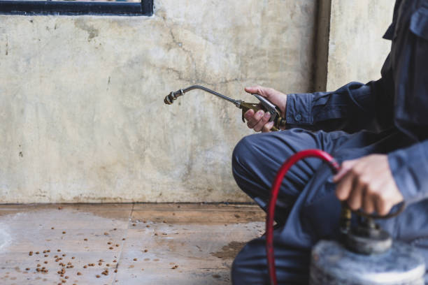 Professional Pest Control in Richmond, IL